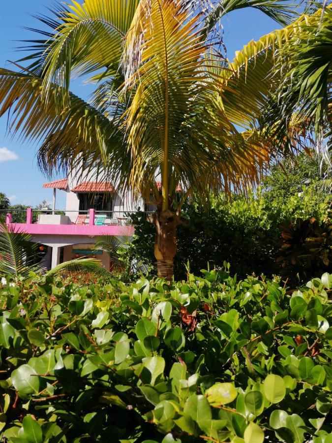 Margarita Del Sol Hotel Costa Maya Mahahual Exterior photo