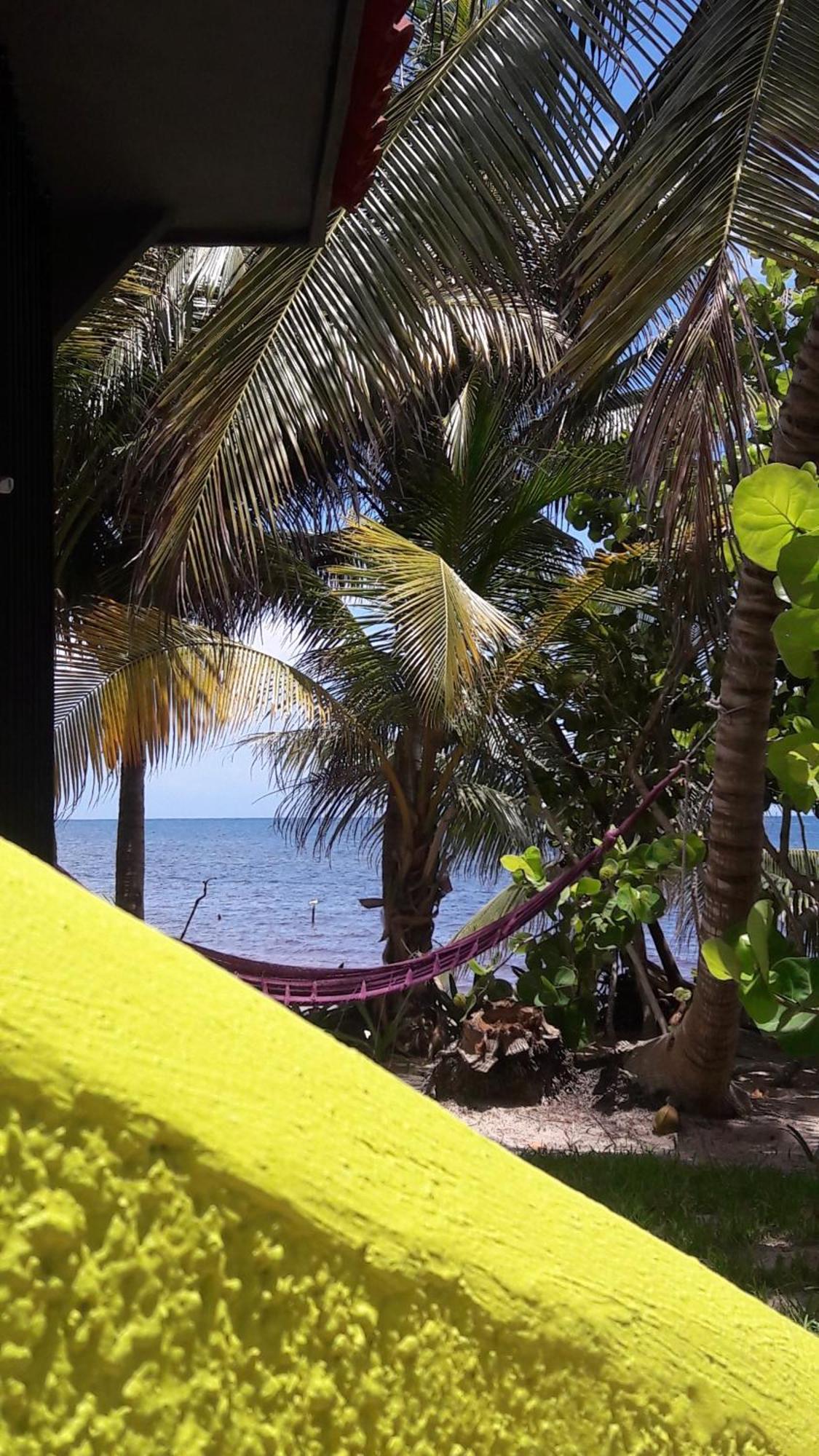 Margarita Del Sol Hotel Costa Maya Mahahual Exterior photo